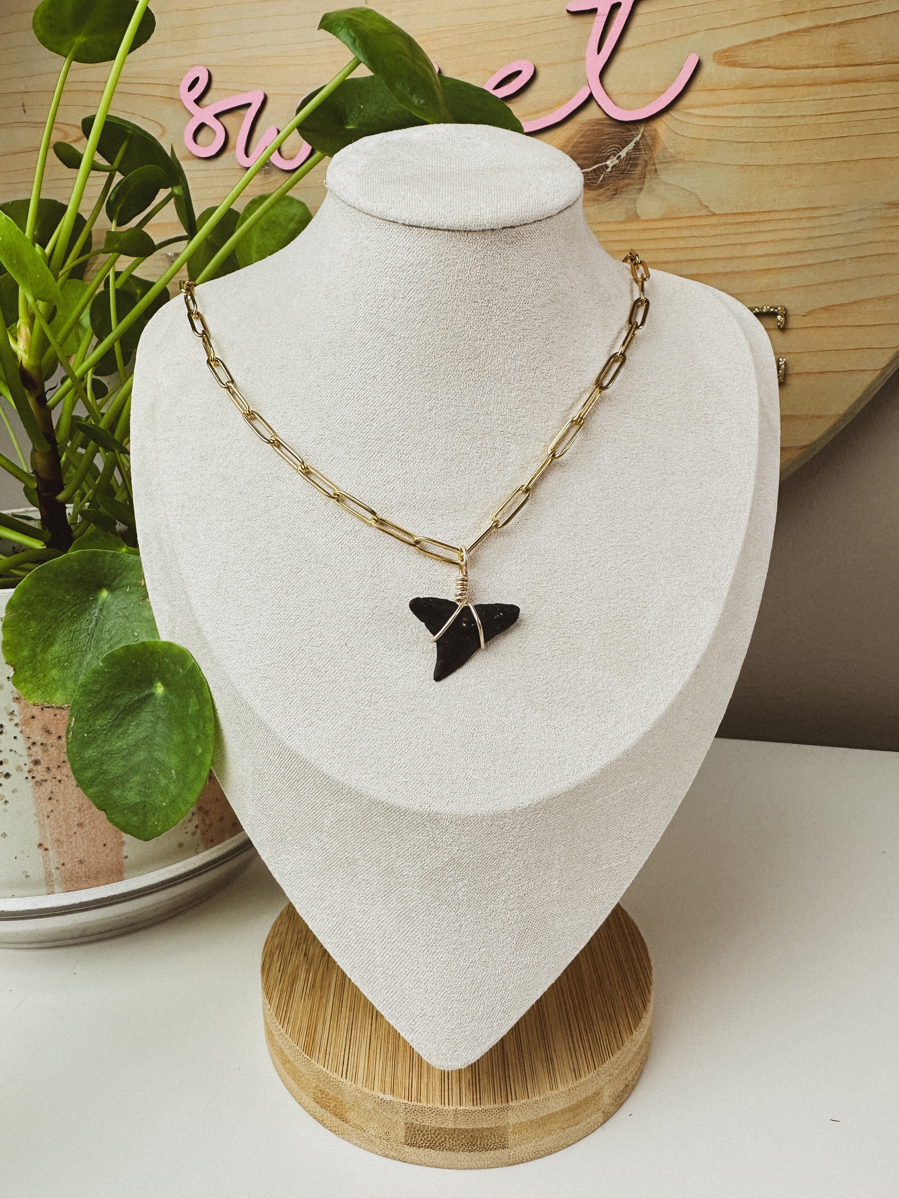 SALT \\ OOAK Bull Shark Tooth Necklace
