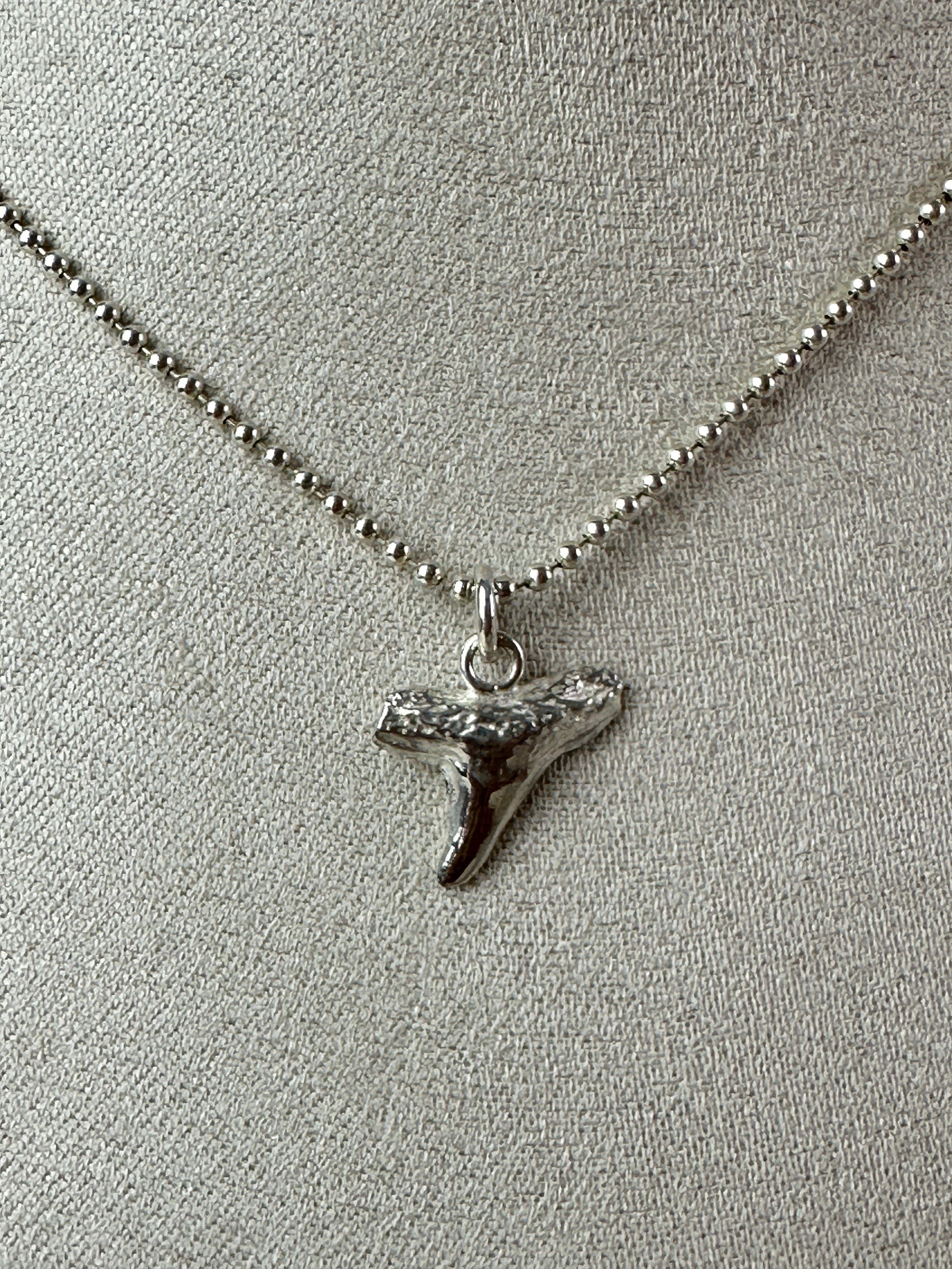 SALT \\ Gray Shark Tooth Necklace \\ Sterling Silver