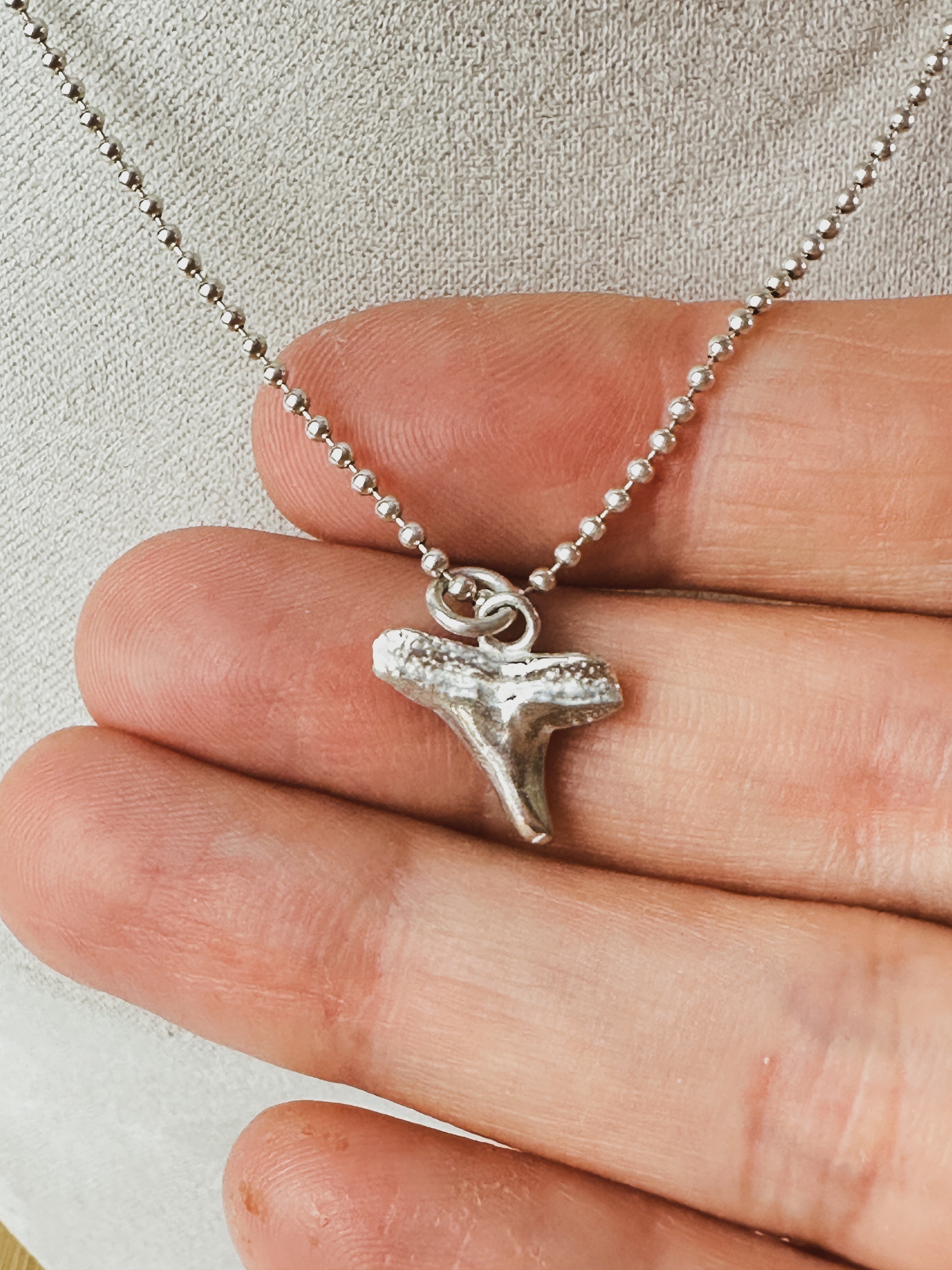 SALT \\ Gray Shark Tooth Necklace \\ Sterling Silver