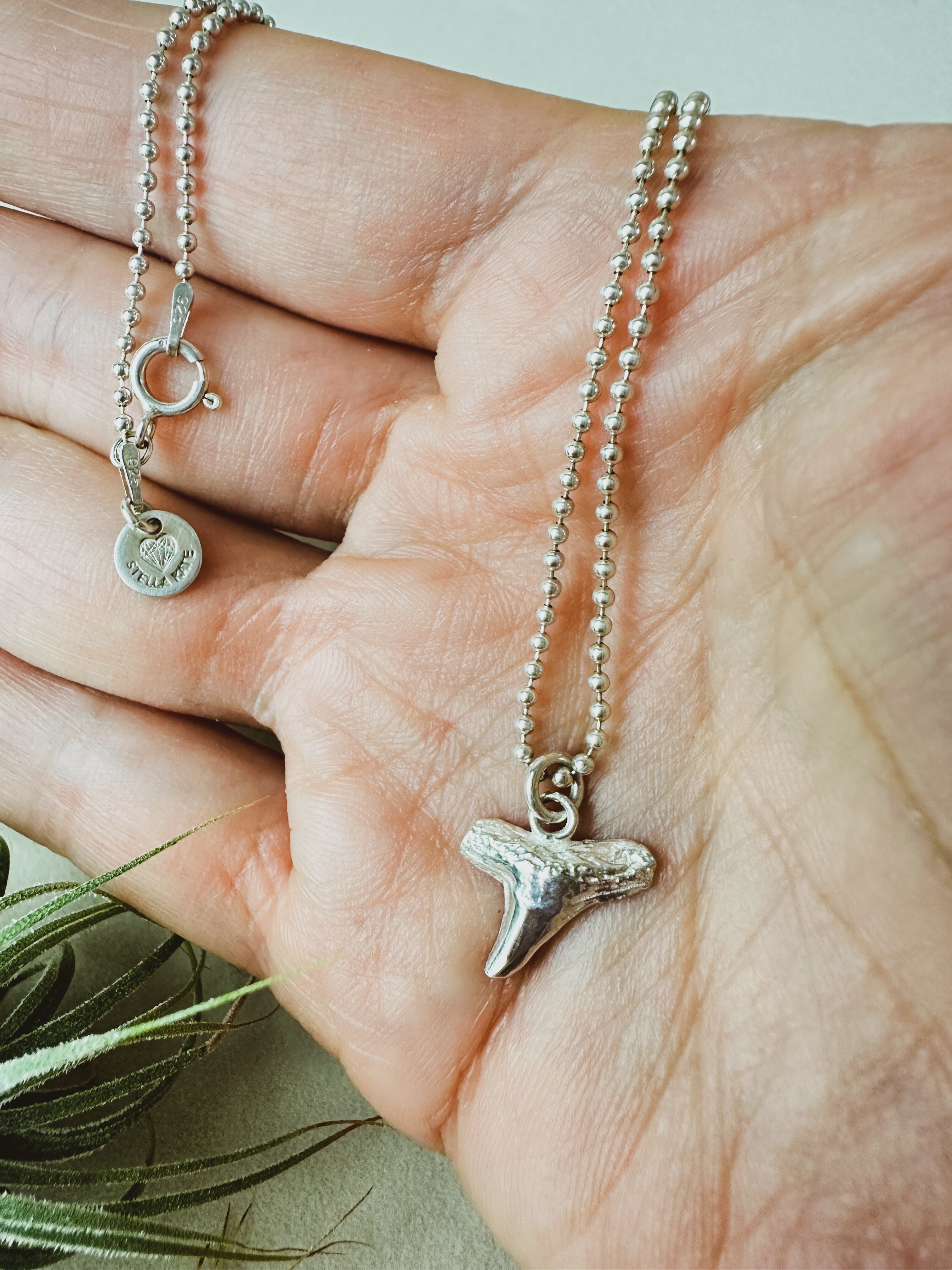 SALT \\ Gray Shark Tooth Necklace \\ Sterling Silver