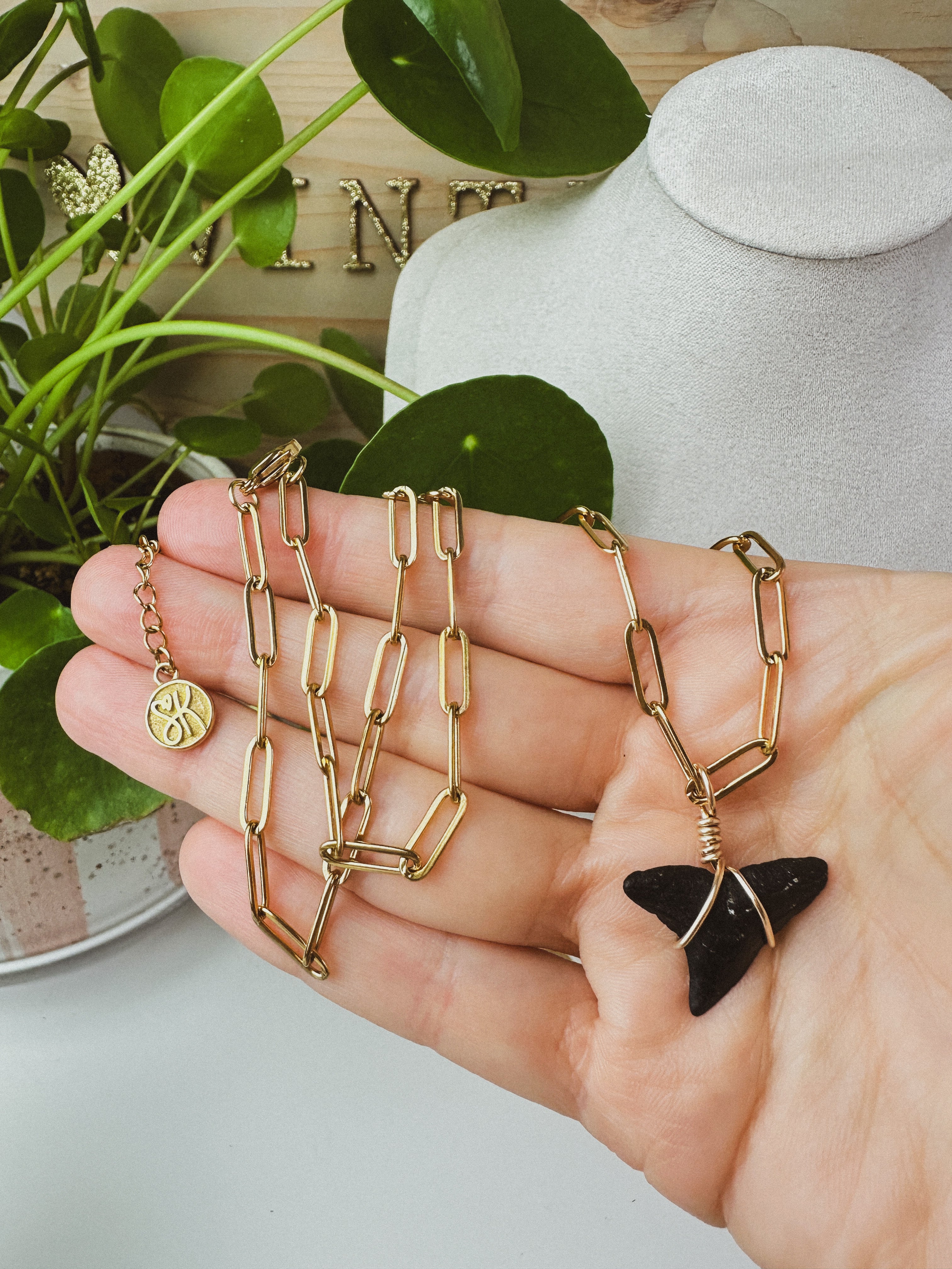 SALT \\ OOAK Bull Shark Tooth Necklace