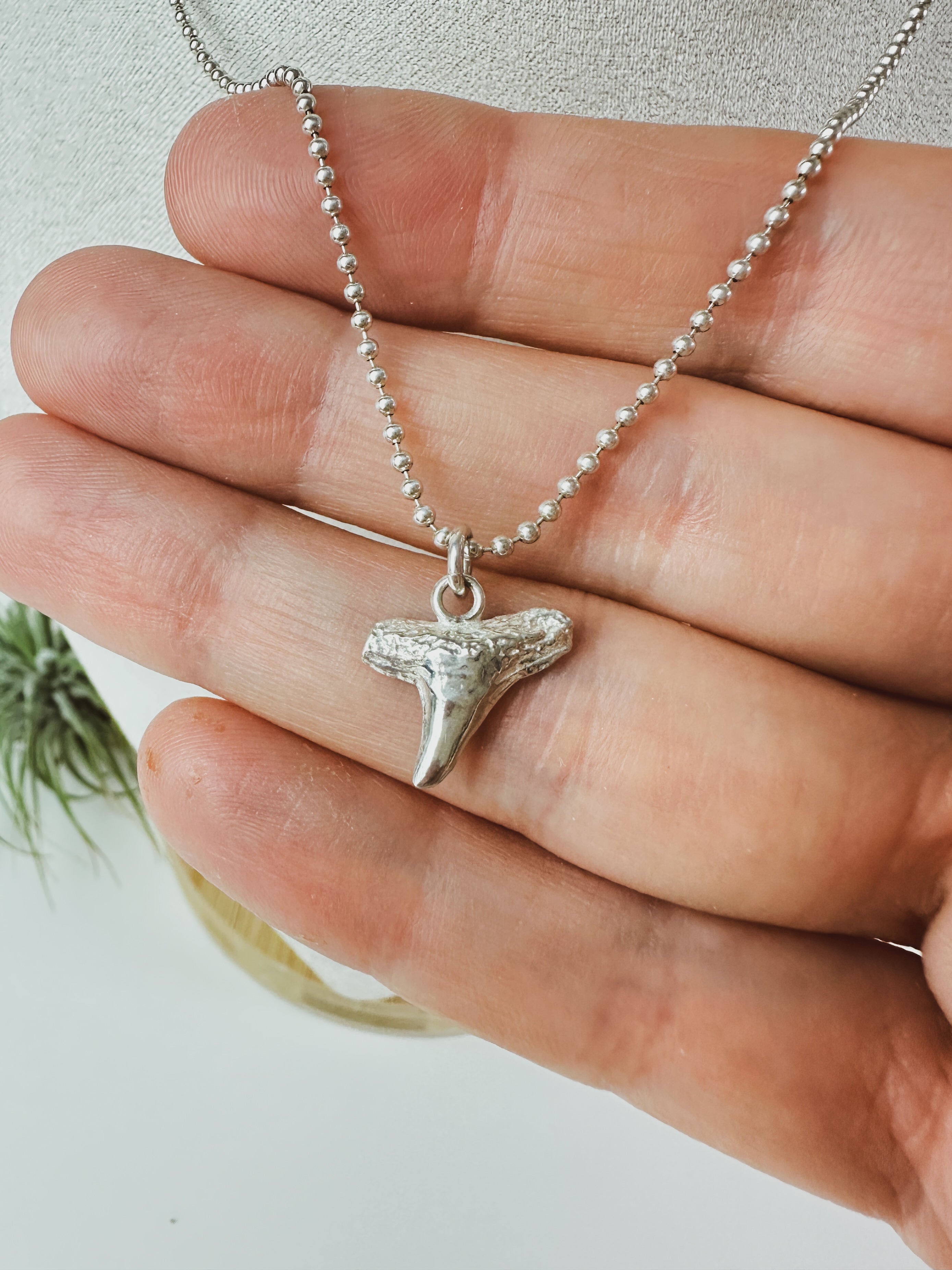 SALT \\ Gray Shark Tooth Necklace \\ Sterling Silver