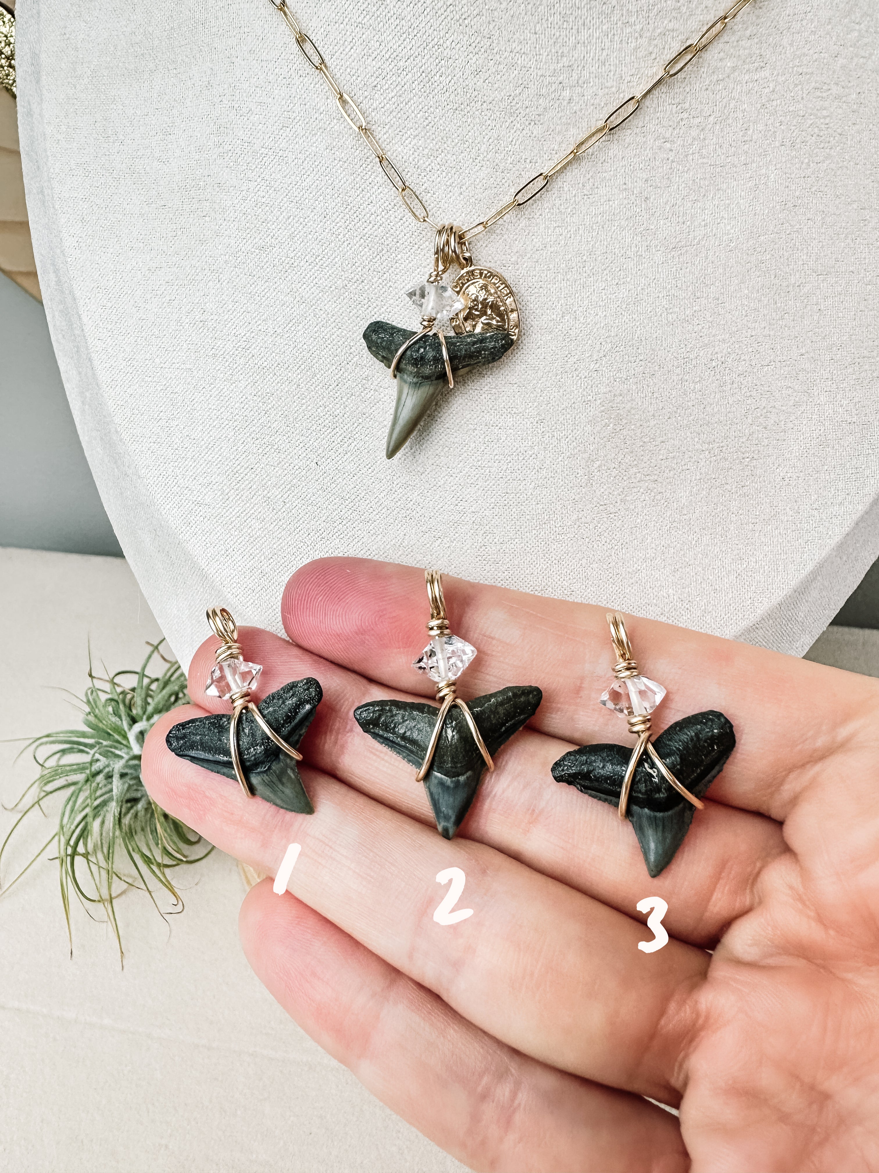 Sea Queen Shark Tooth Necklace \\ Gold Filled