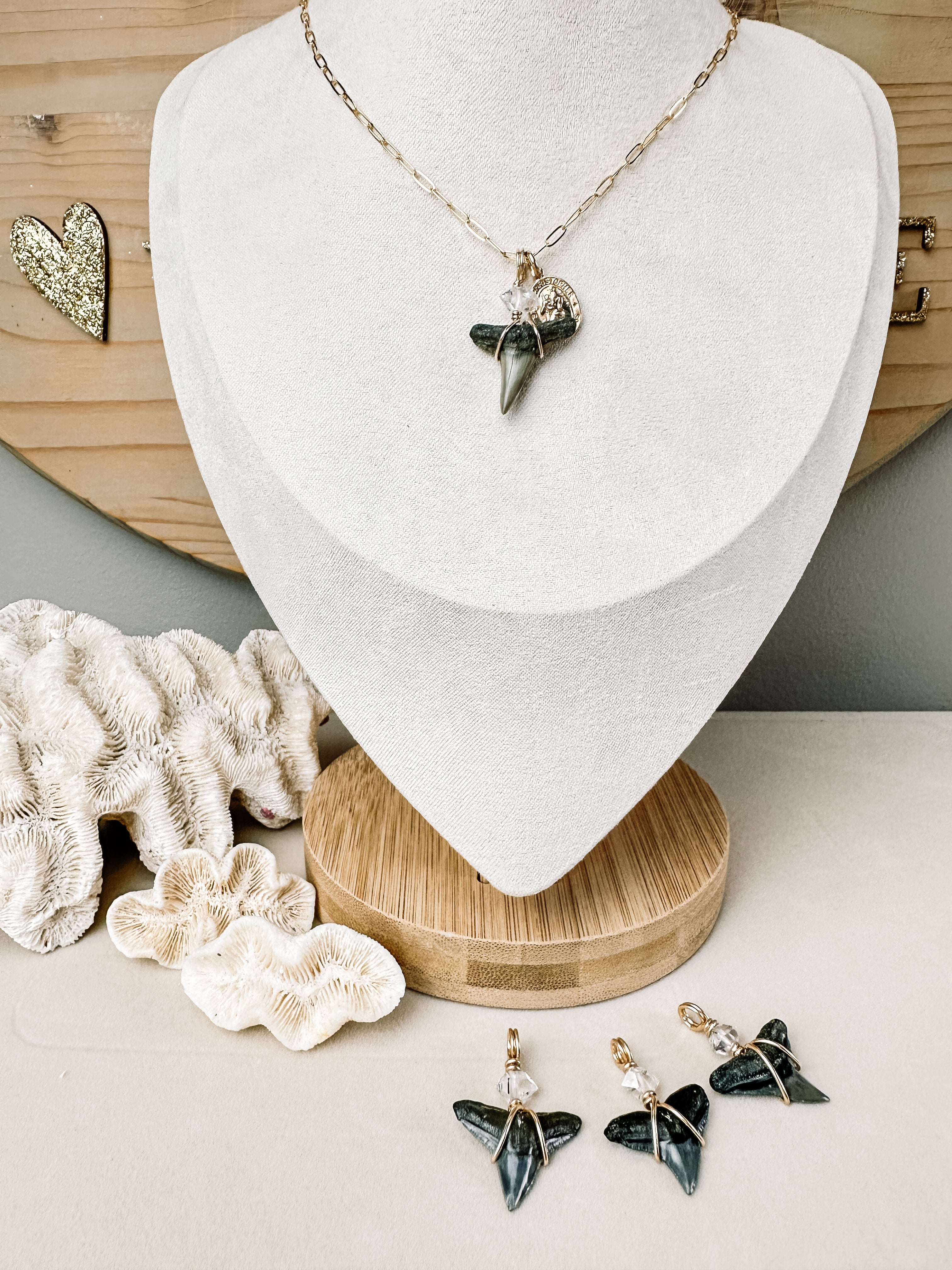 Sea Queen Shark Tooth Necklace \\ Gold Filled