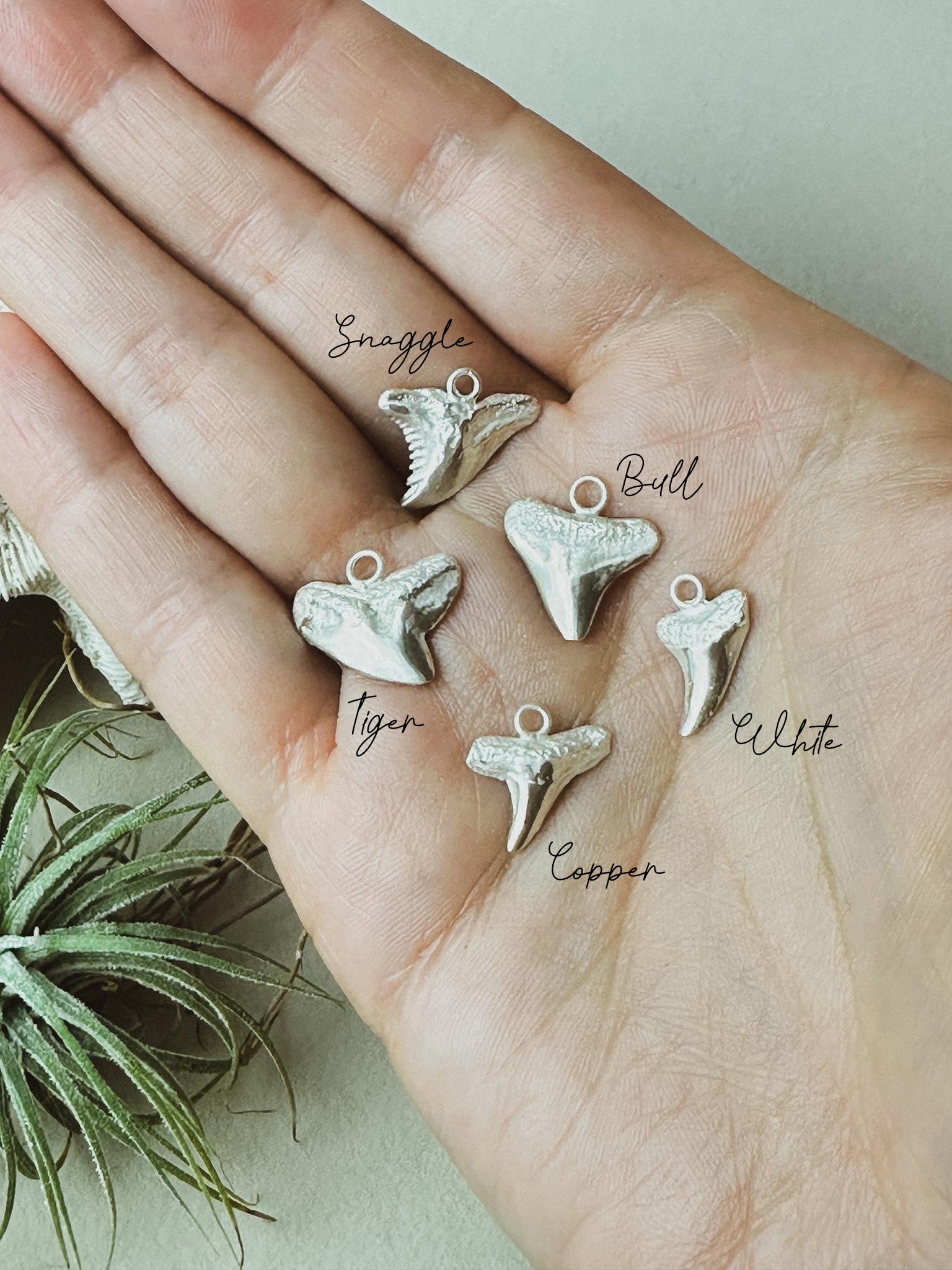 Cast Shark Tooth Necklace | Sterling Silver