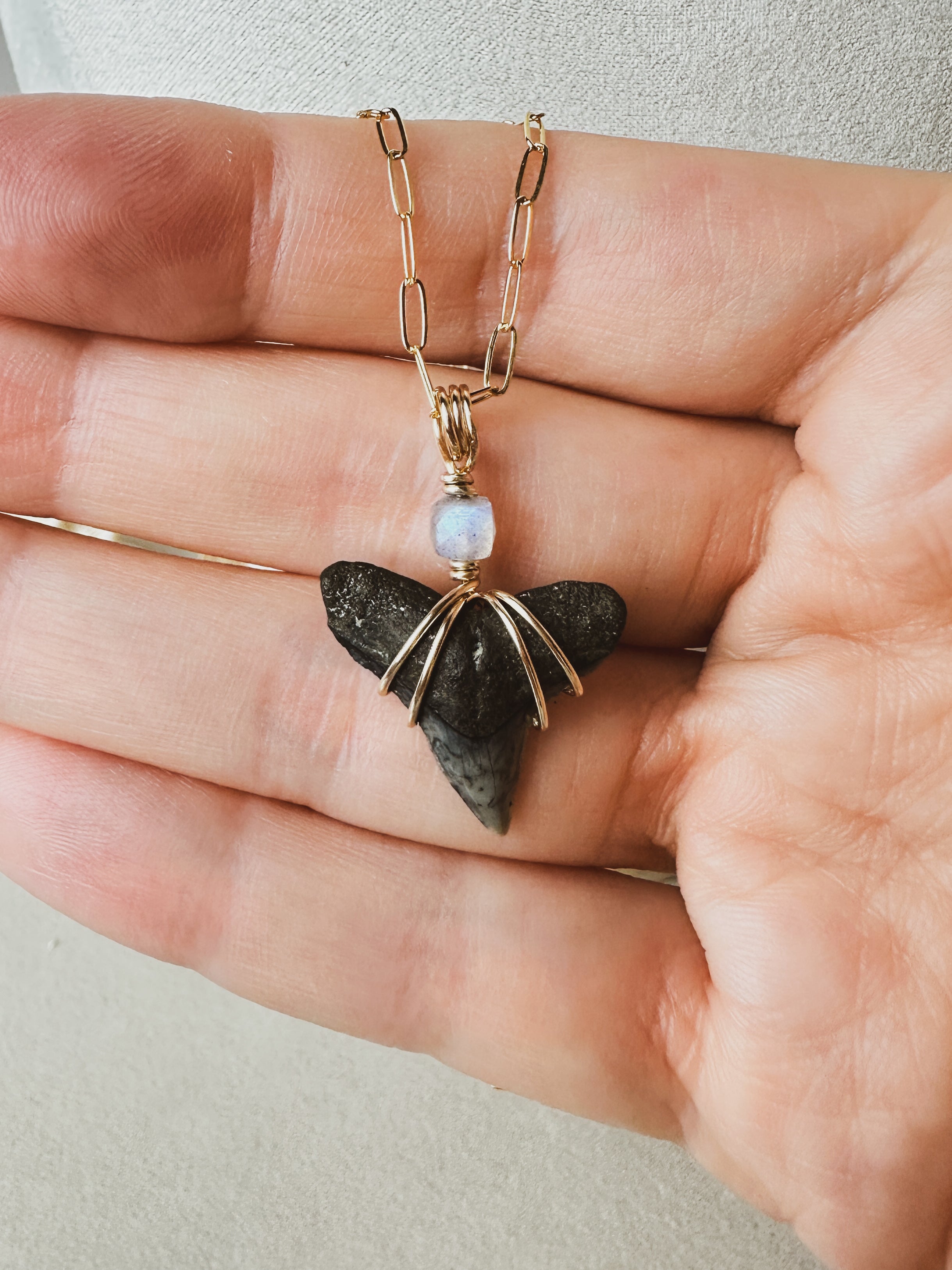 Sea Queen Shark Tooth Necklace \\ Gold Filled + Labradorite