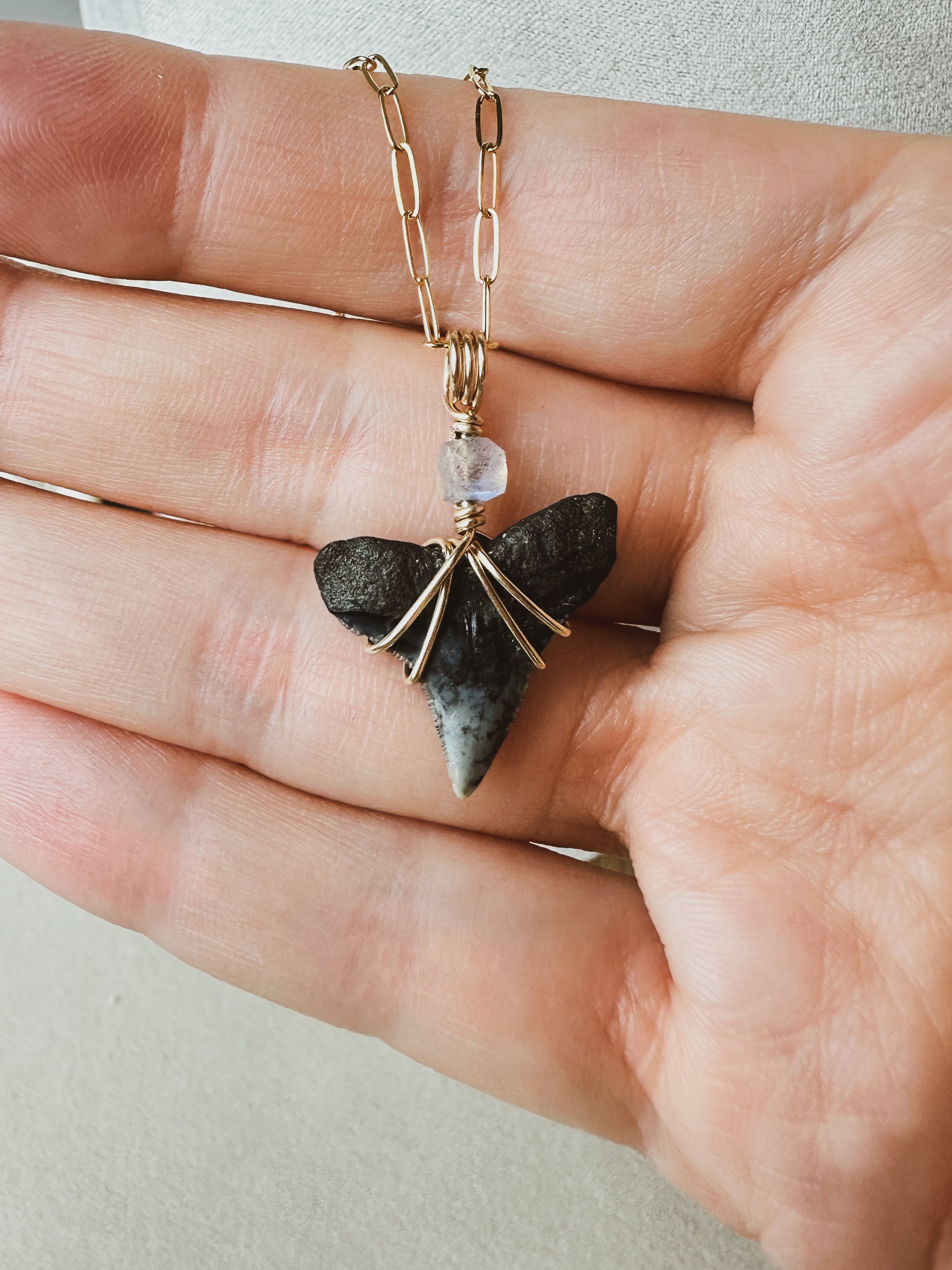 Sea Queen Shark Tooth Necklace \\ Gold Filled + Labradorite
