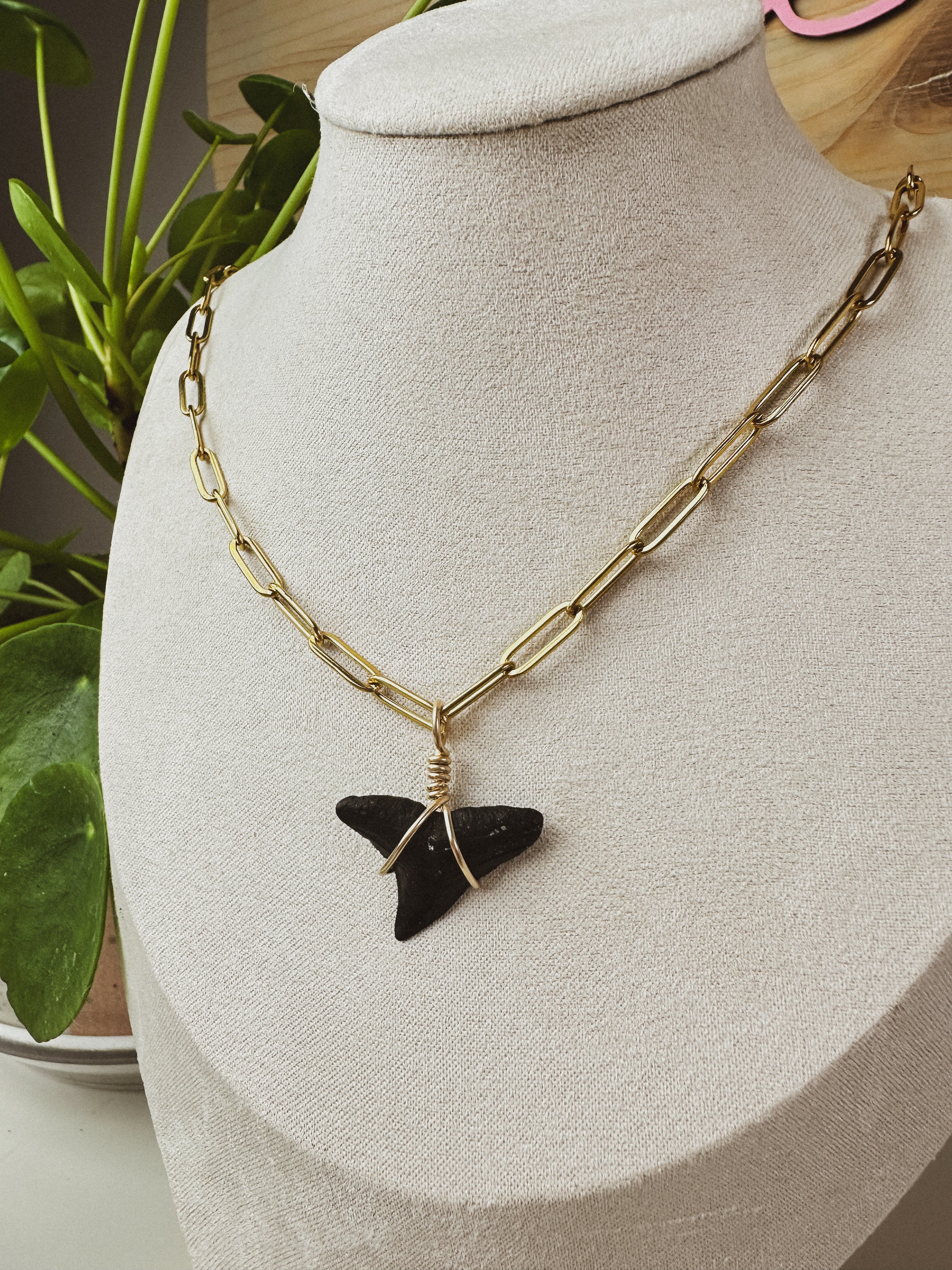 SALT \\ OOAK Bull Shark Tooth Necklace
