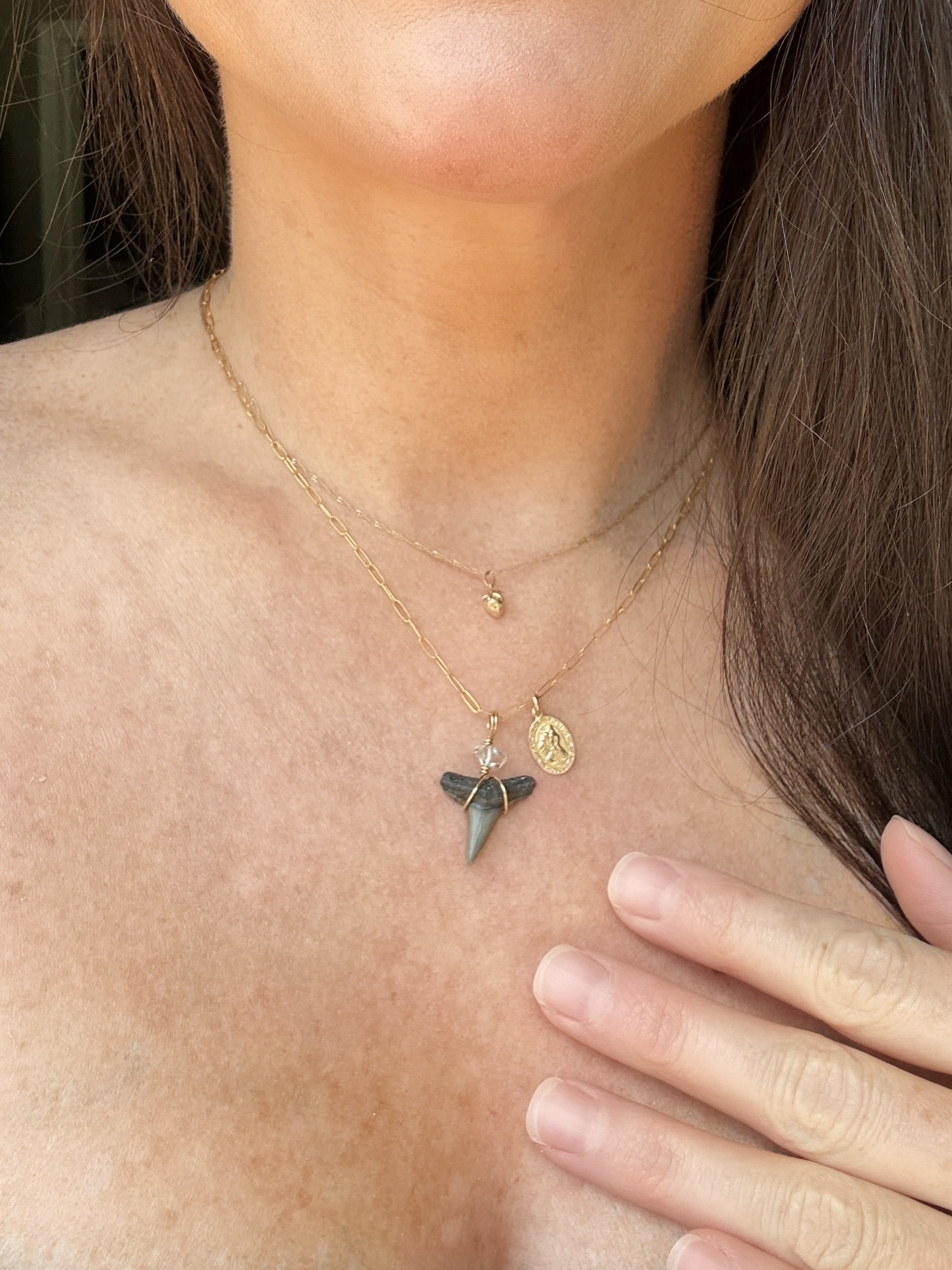 Sea Queen Shark Tooth Necklace \\ Gold Filled