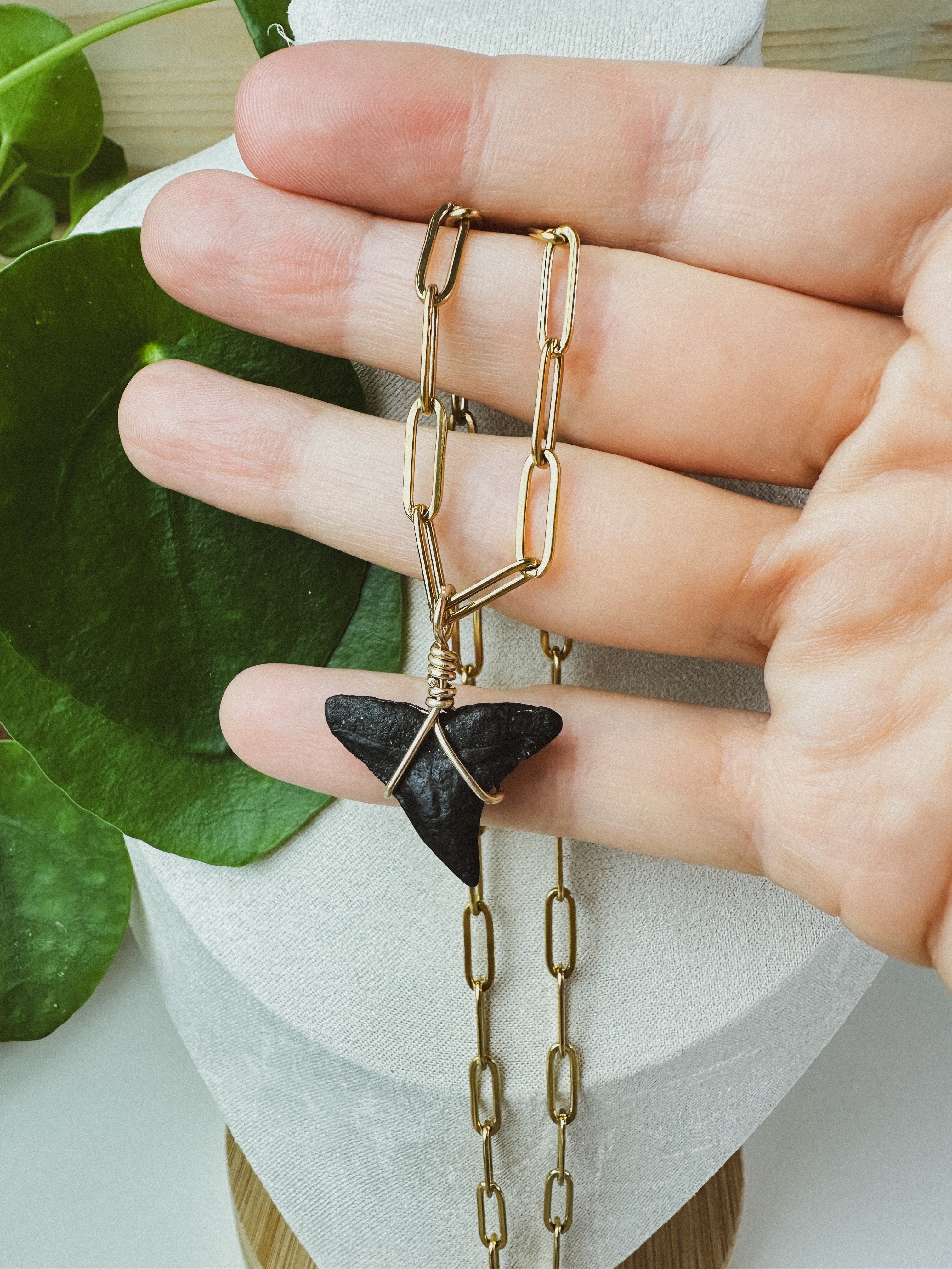 SALT \\ OOAK Bull Shark Tooth Necklace