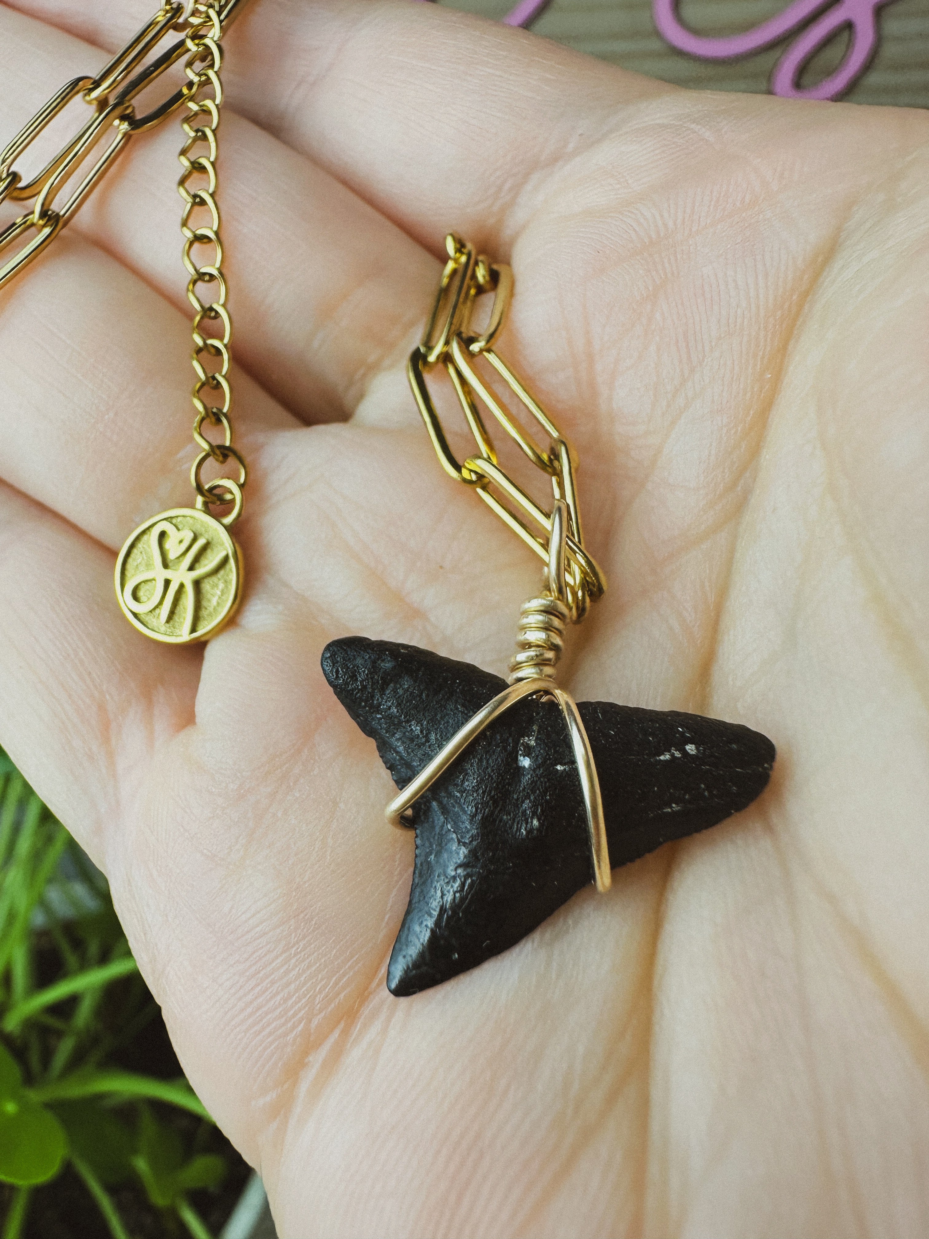 SALT \\ OOAK Bull Shark Tooth Necklace