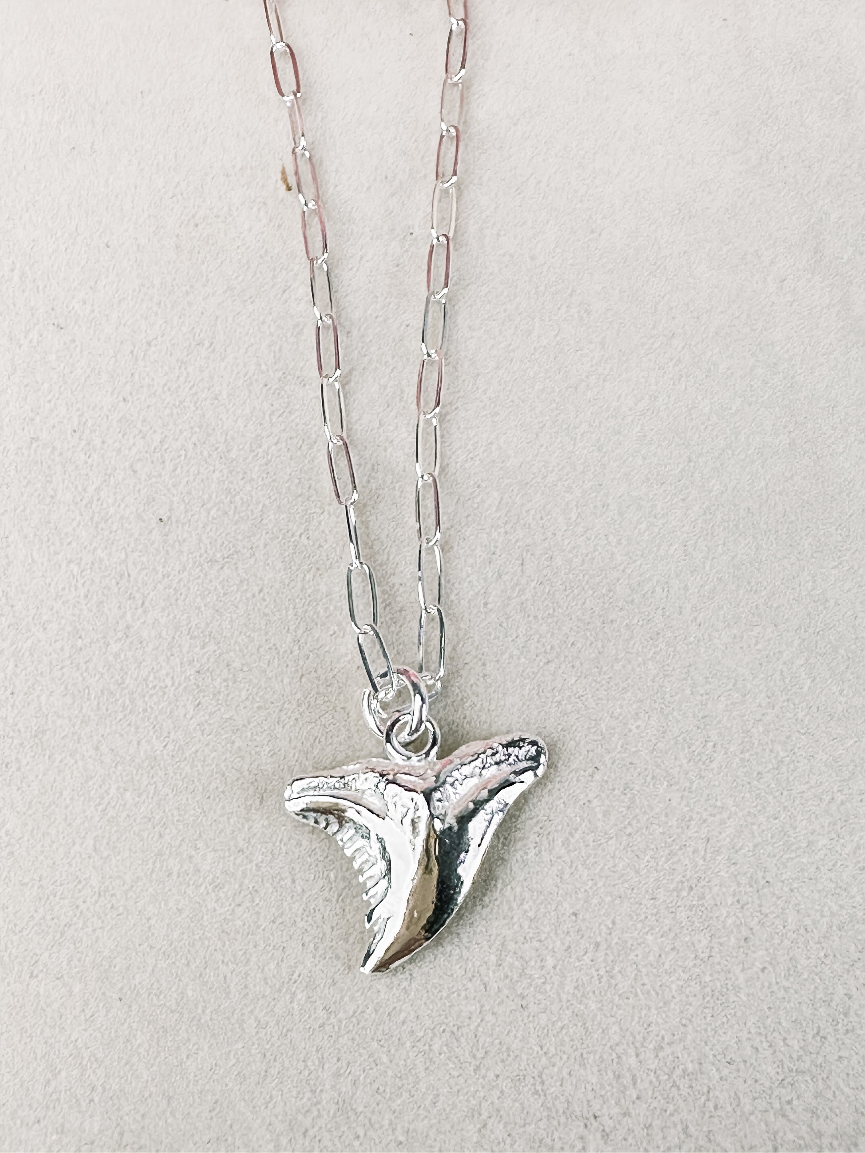 SALT \\ Hemipristis Shark Tooth Necklace \\ Sterling Silver