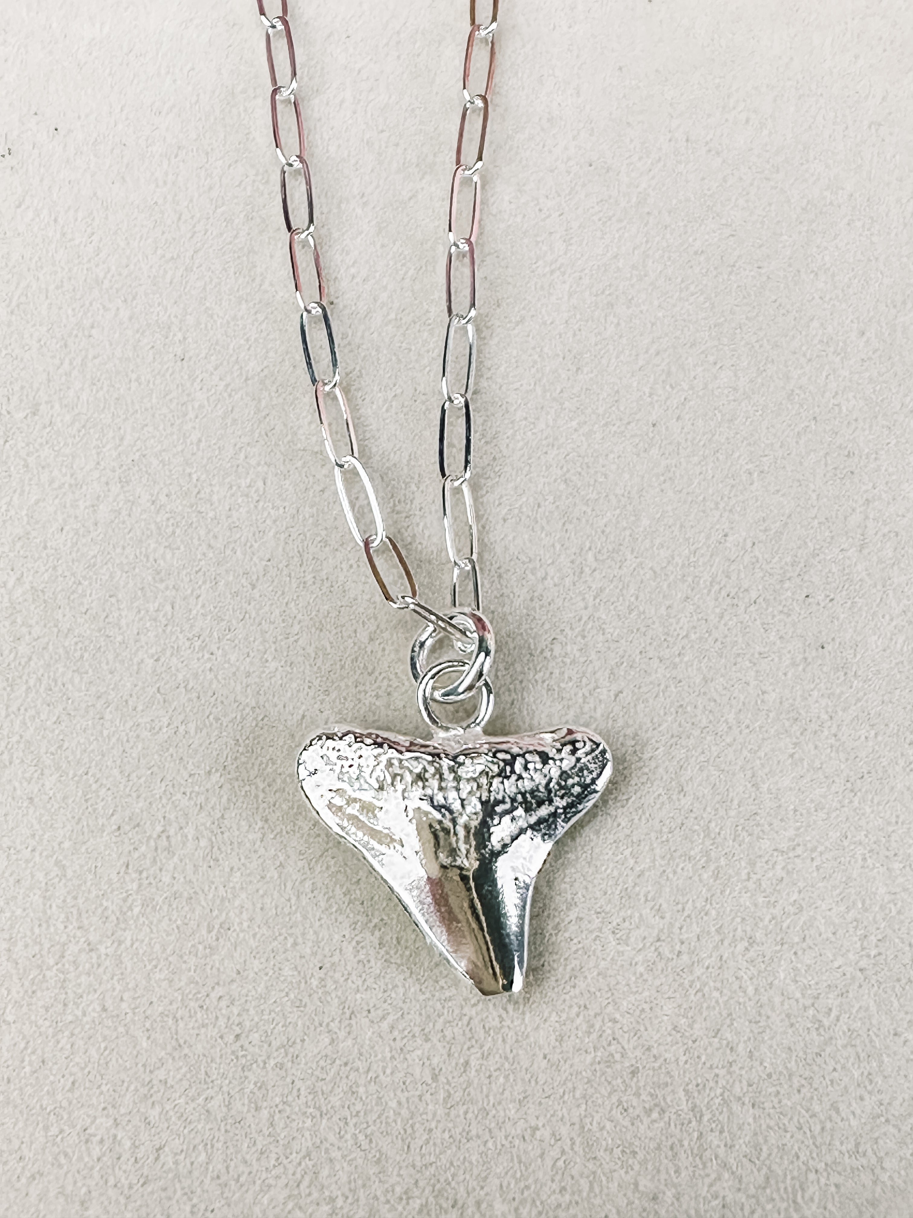 SALT \\ Bull Shark Tooth Necklace \\ Sterling Silver