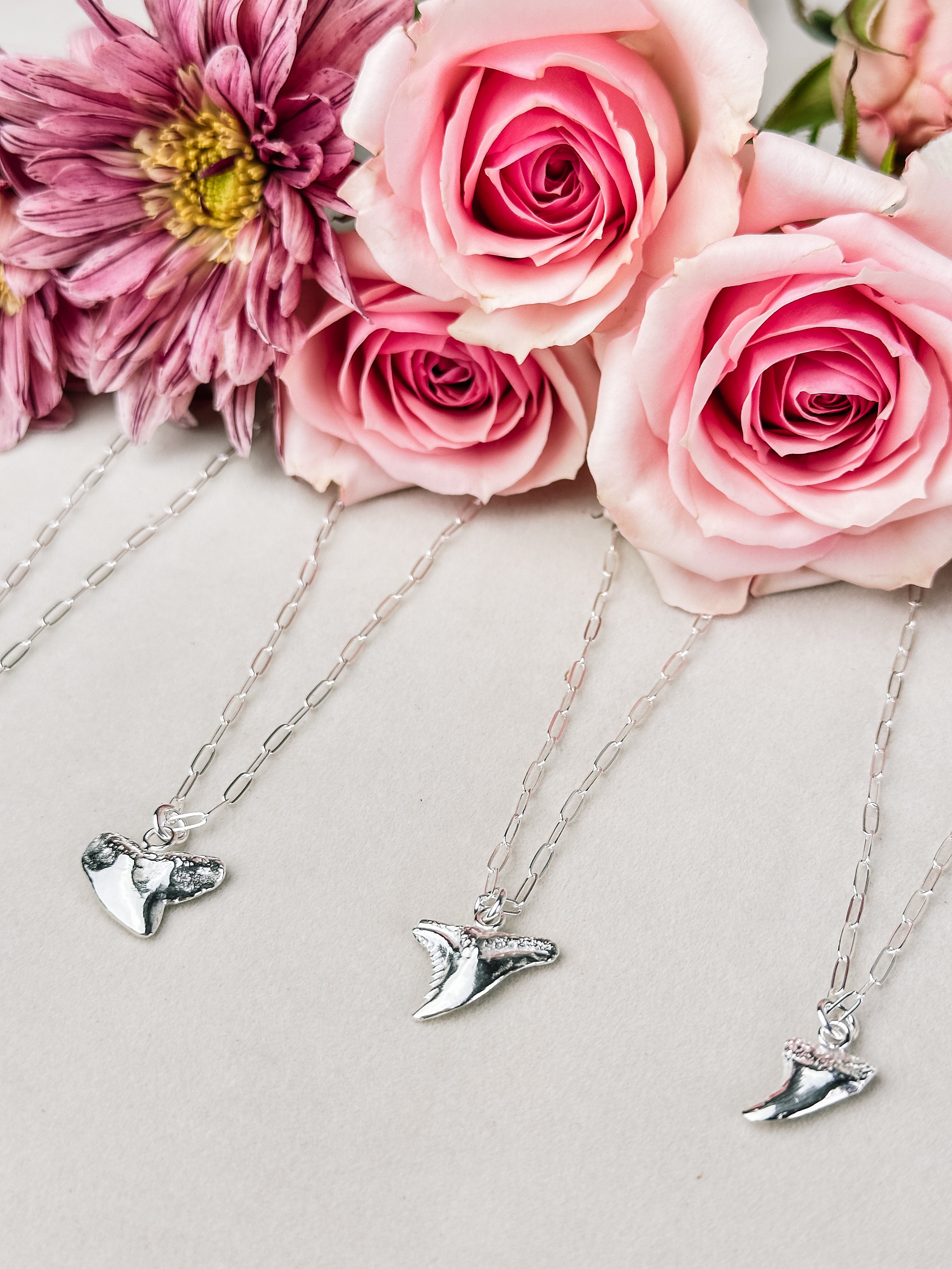 Cast Shark Tooth Necklace | Sterling Silver