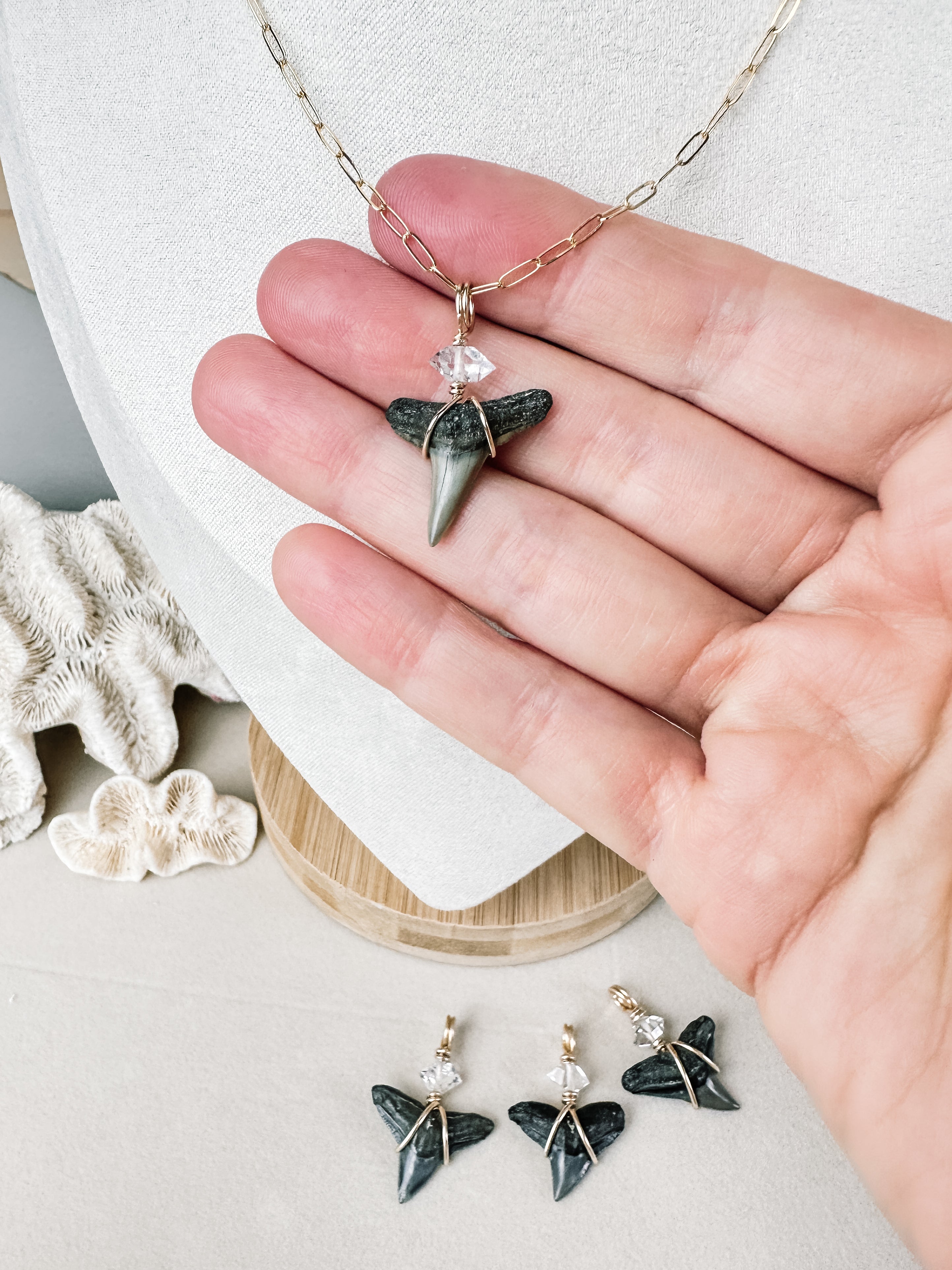 Sea Queen Shark Tooth Necklace \\ Gold Filled