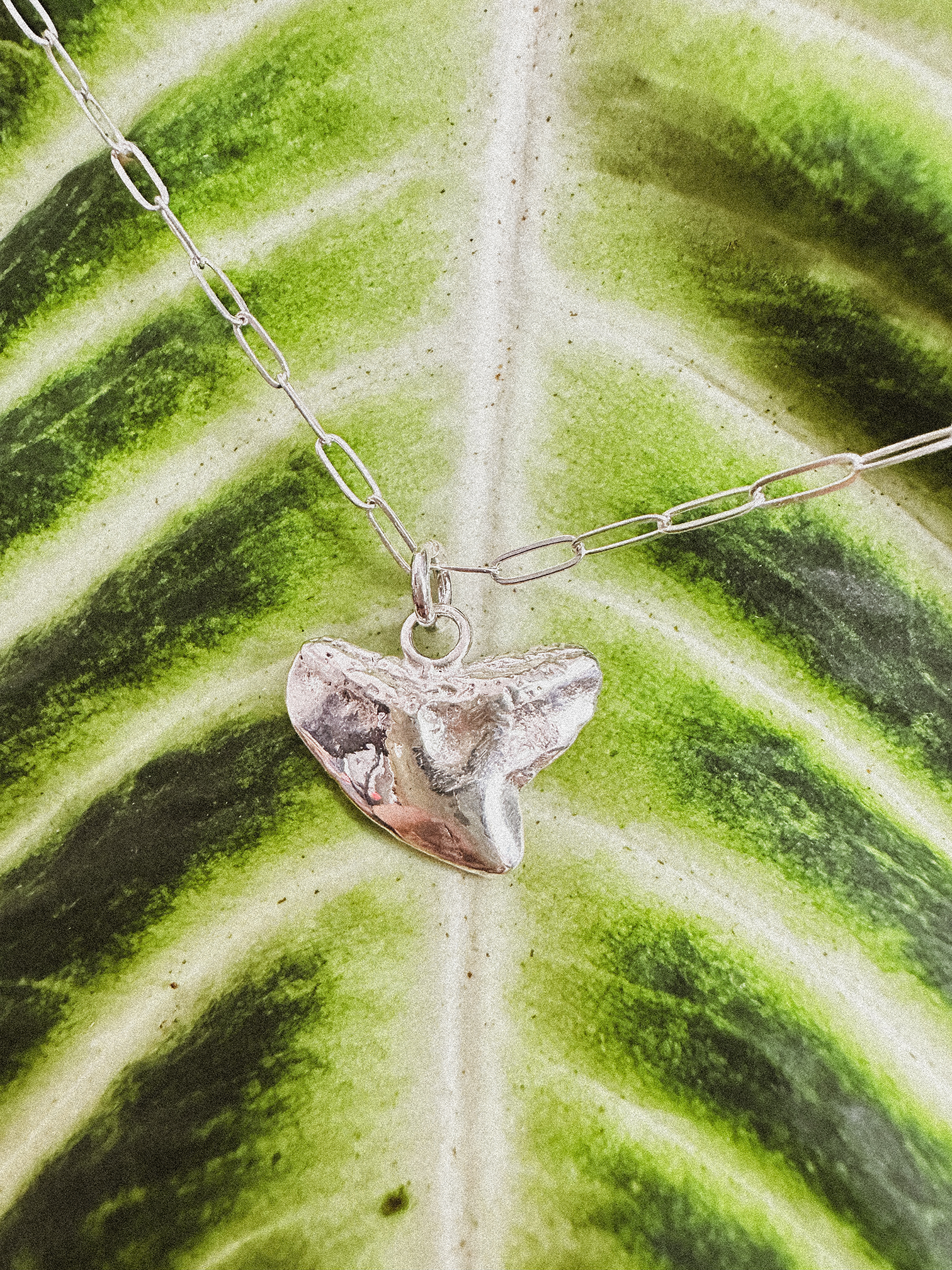 Cast Shark Tooth Necklace | Sterling Silver