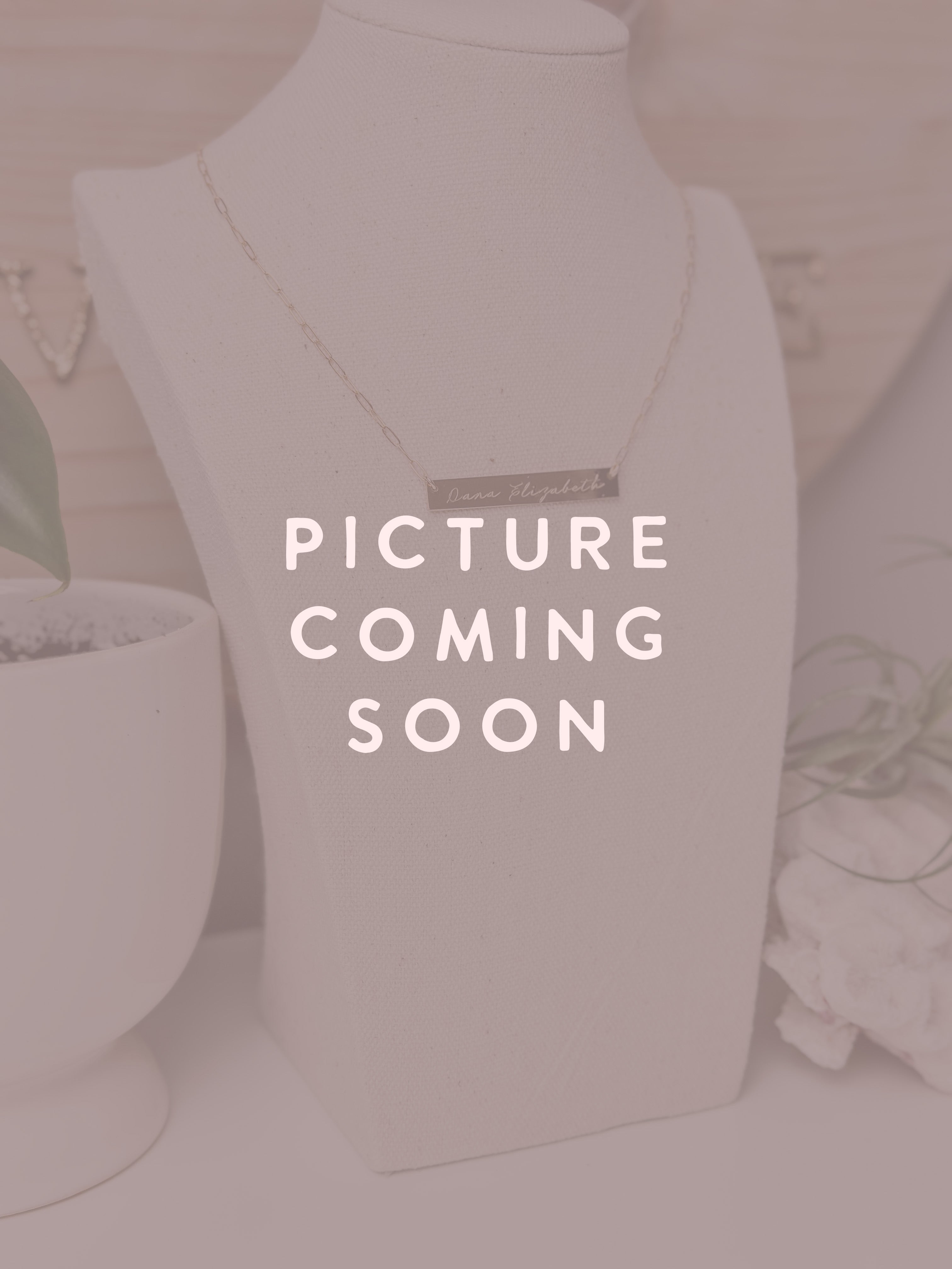 SALT \\ C. Hastalis Tooth Necklace \\ Sterling Silver